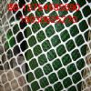 Plastic Wire Mesh,Plastic Plain Netting,Plastic Flat Mesh